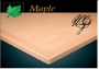 3220RFO Series Maple Veneer Basic Table Tops